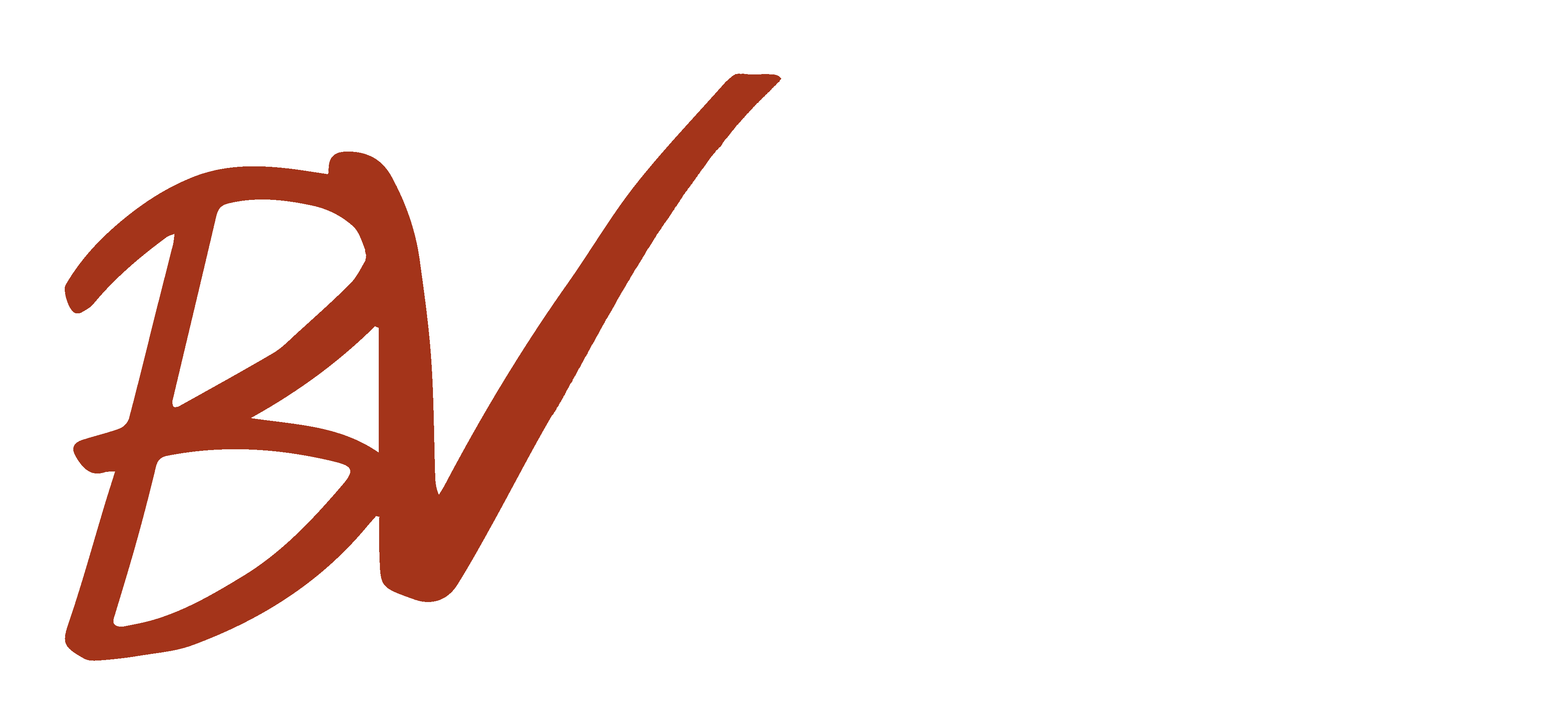 BVision